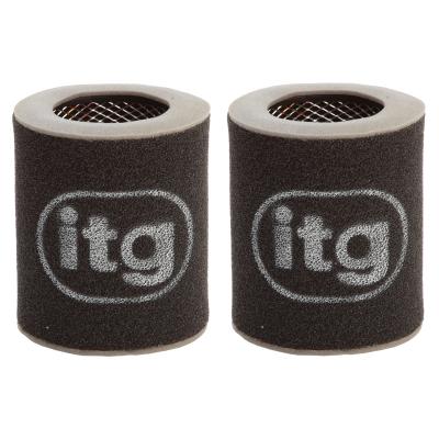 ITG Air Filter For Audi Audi A8 W12 (2 Filters)